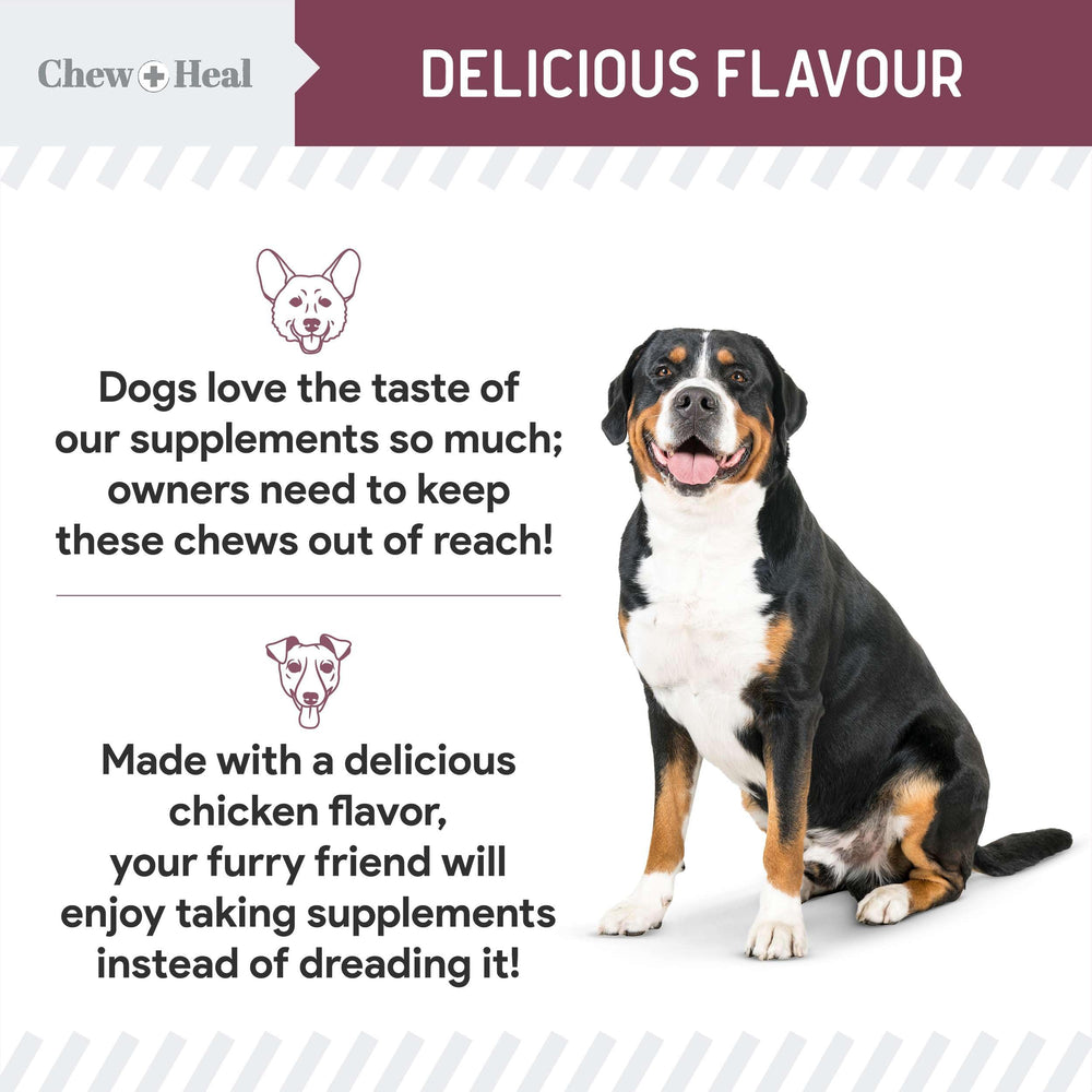 Chew + Heal Labs bottle image conveys 120 soft chews per jar for ongoing use.