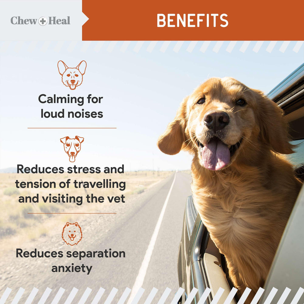 Ginger and chamomile ingredients in Chew + Heal Labs Calming Chews for digestion-friendly calm