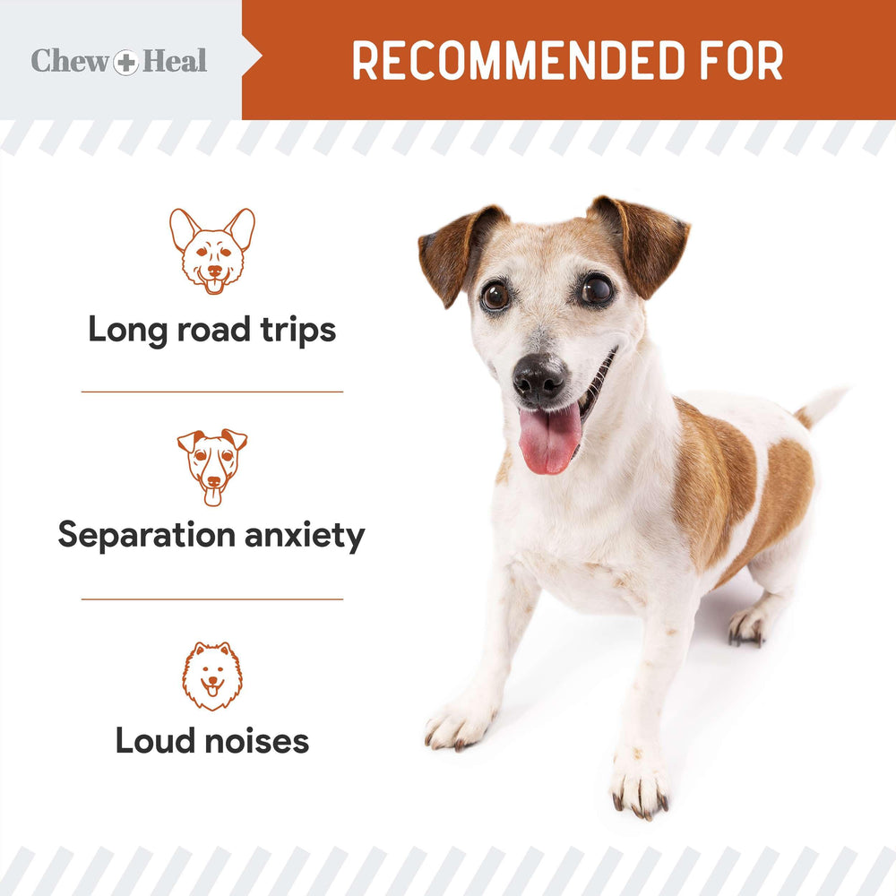 Melatonin in Chew + Heal Labs Calming Chews supports restful sleep for dogs