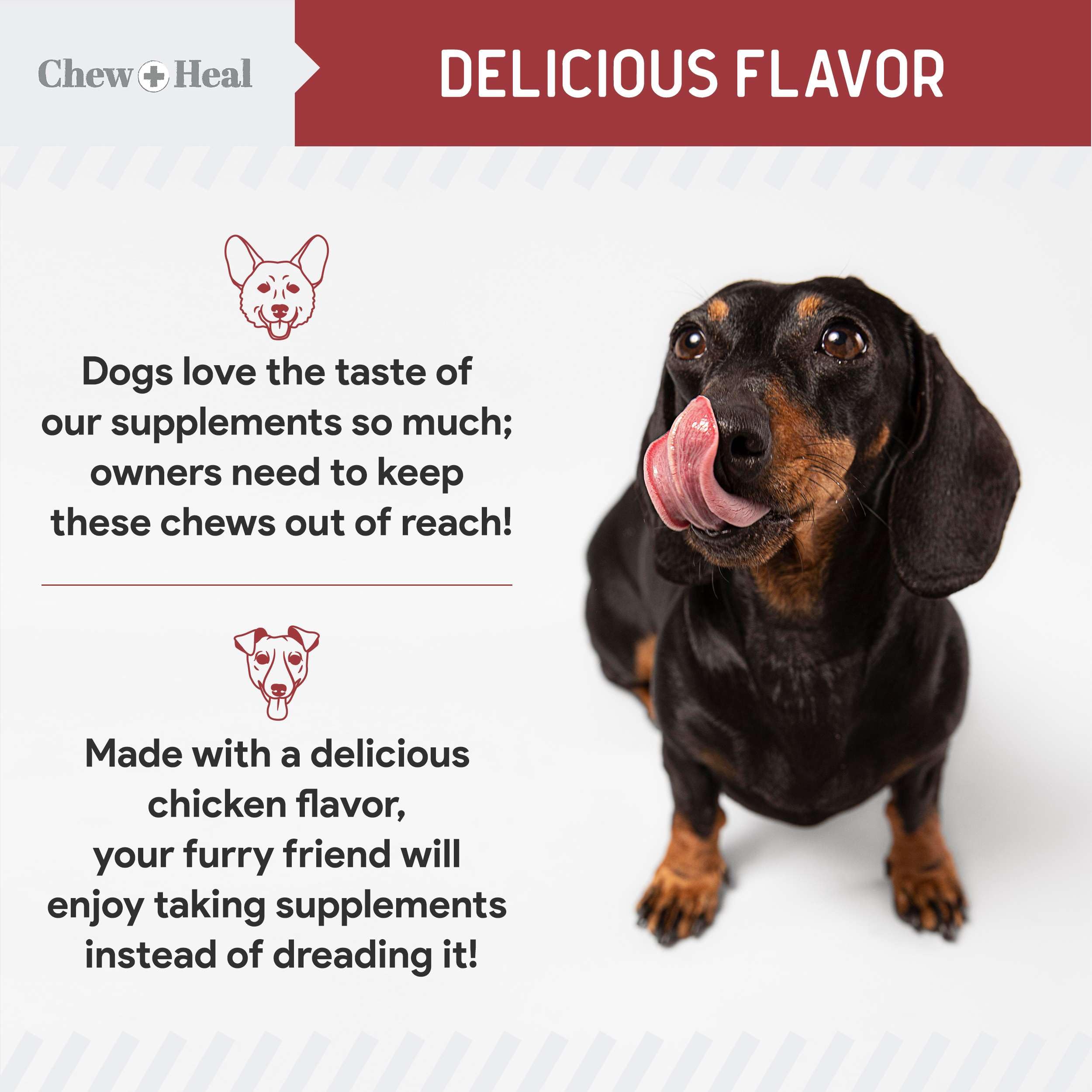 Chew + Heal Labs chicken-flavor dog treats appealing daily palatability.