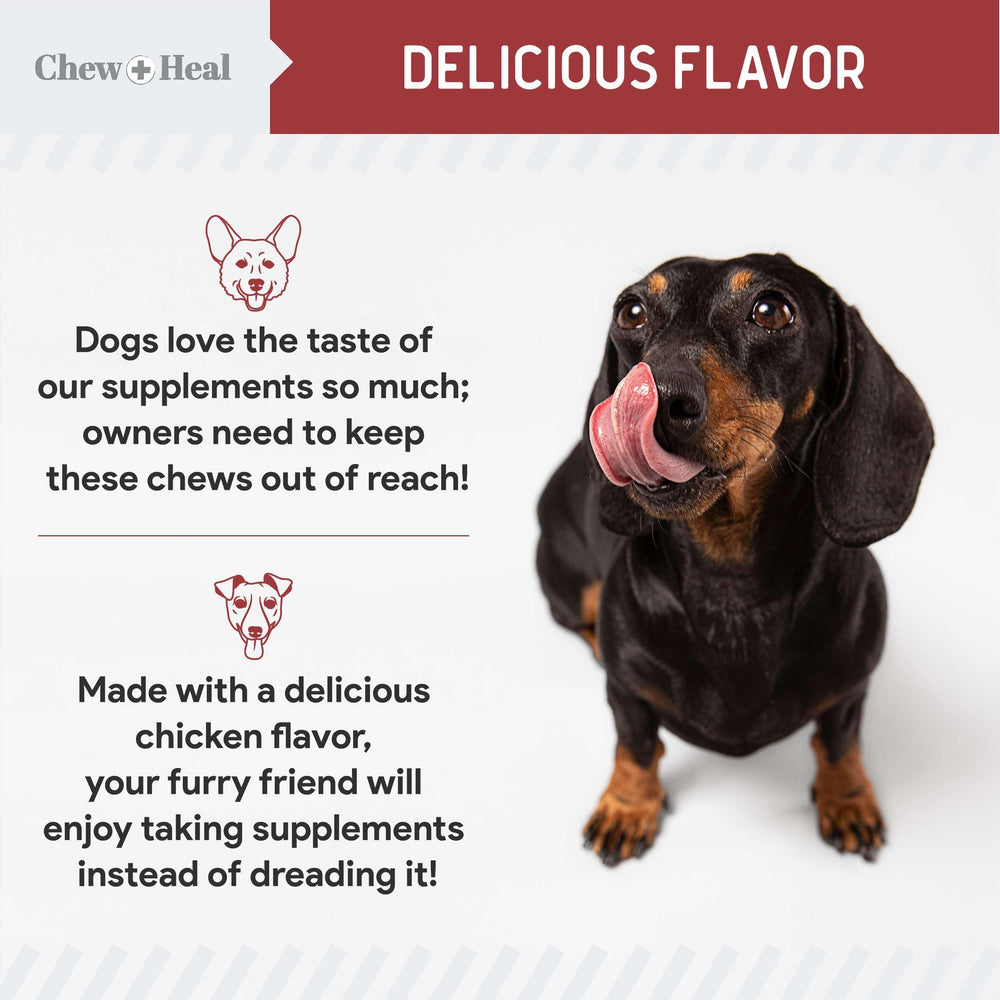 Chew + Heal Labs chicken-flavor dog treats appealing daily palatability.