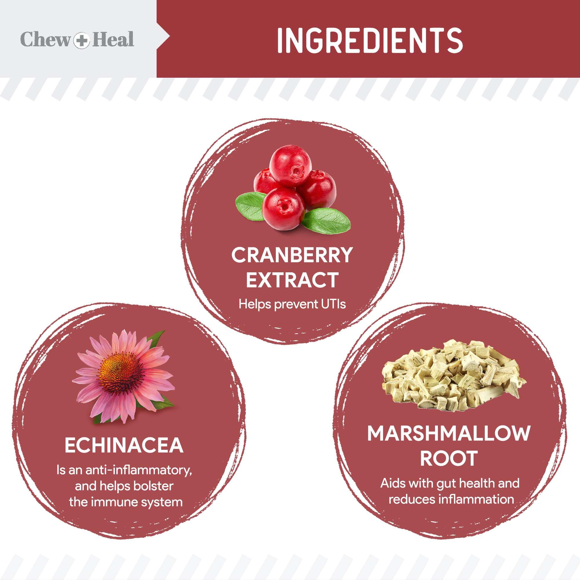 Chew + Heal Labs cranberry dog supplement bottle highlighting urinary tract health.