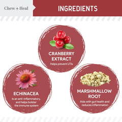 Chew + Heal Labs cranberry dog supplement bottle highlighting urinary tract health.