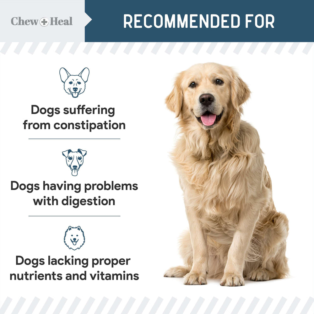 Digestive enzymes icons for Chew + Heal Labs.