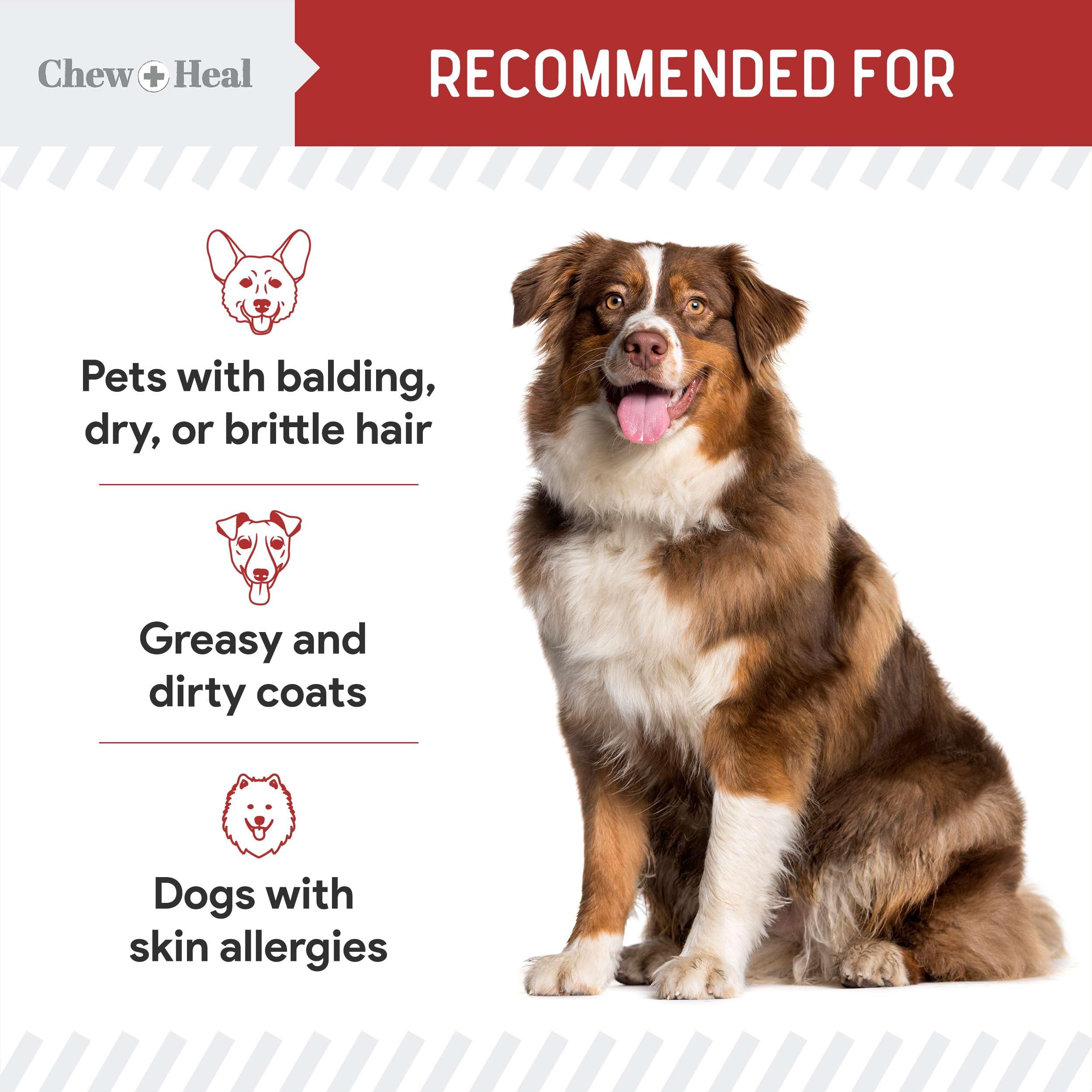 Chew + Heal Labs digestive-support image emphasizes prebiotics and probiotics for gut health.