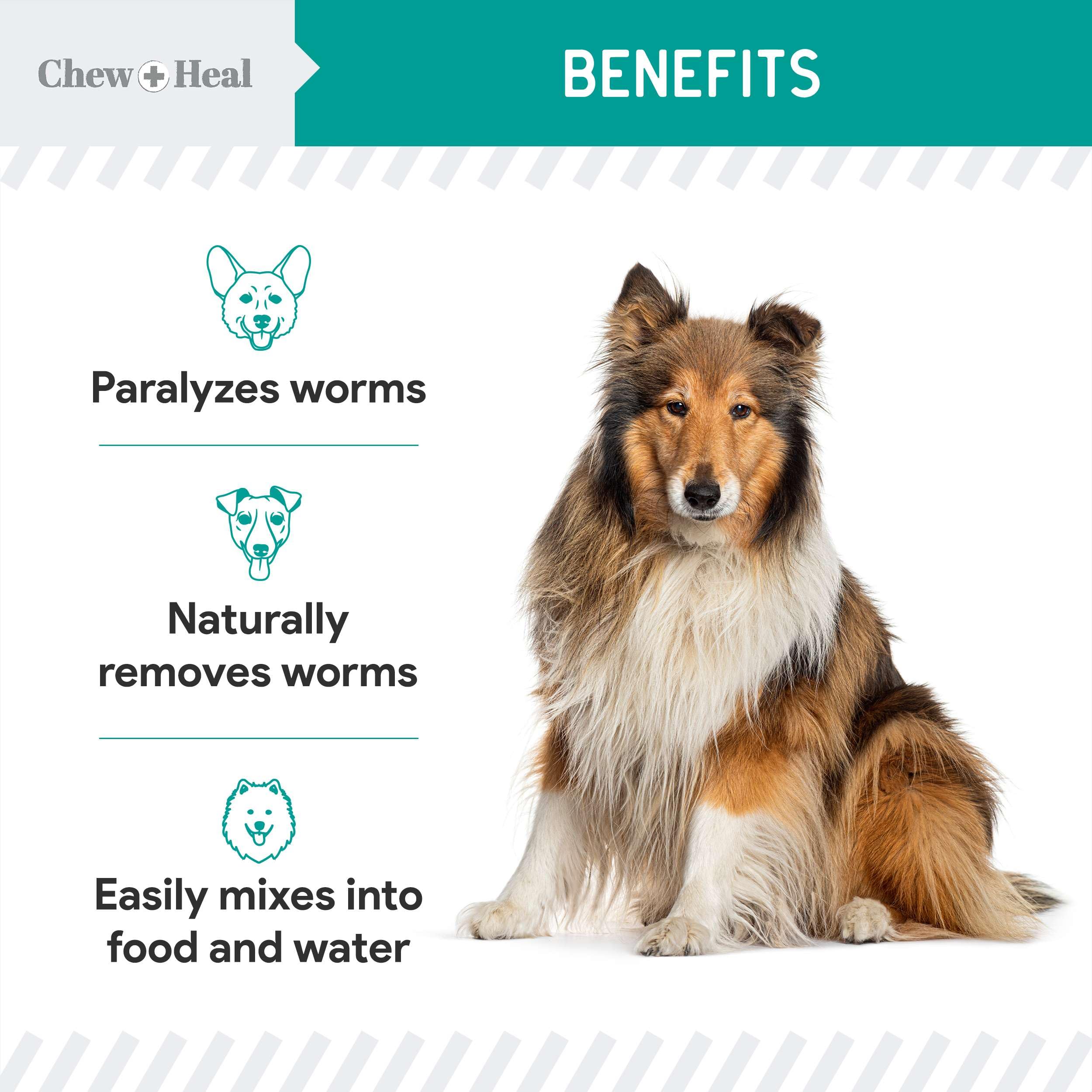 Chew + Heal Labs dewormer mixing into food or water for simple administration