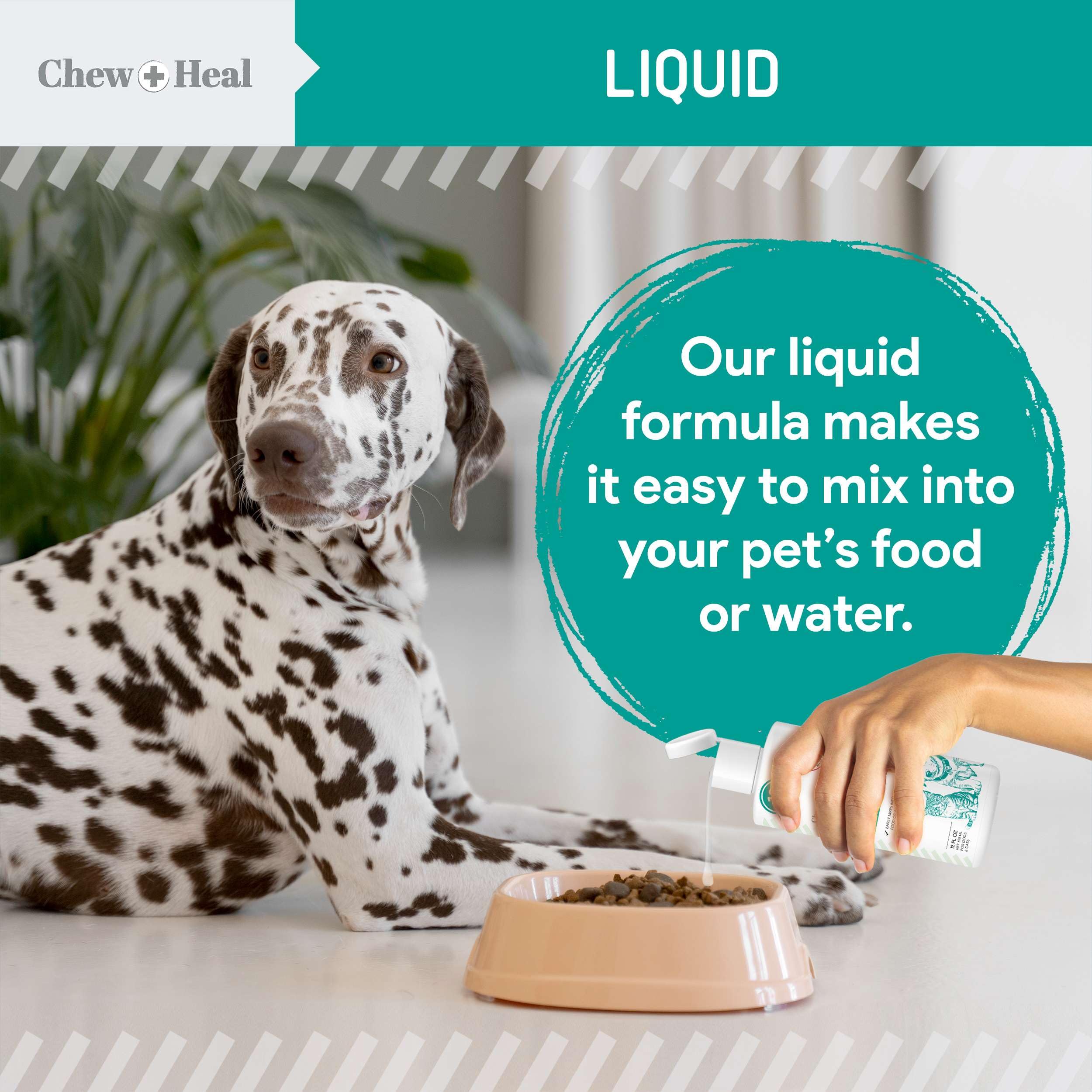 Chew + Heal Labs USA-made label indicates product origin and quality