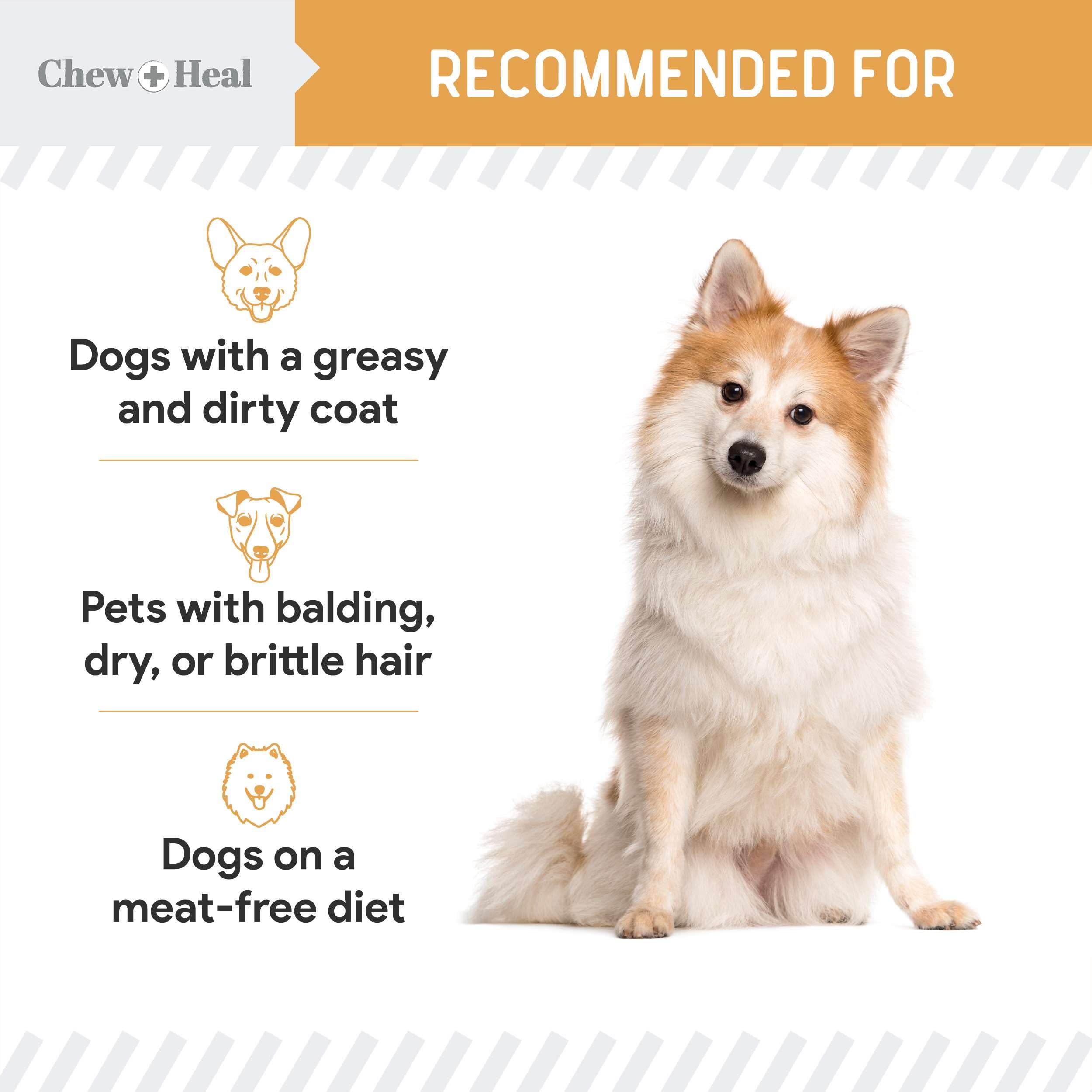 Chew + Heal Labs dog with glossy coat suggests skin and coat support