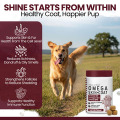 Chew + Heal Labs dog coat shine demonstrates balanced omega nutrition