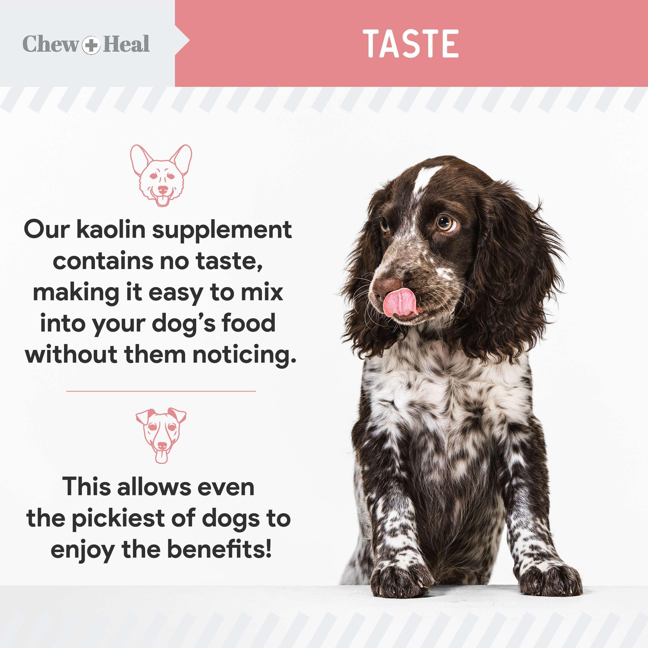 Chew + Heal Labs owner administering supplement at home.