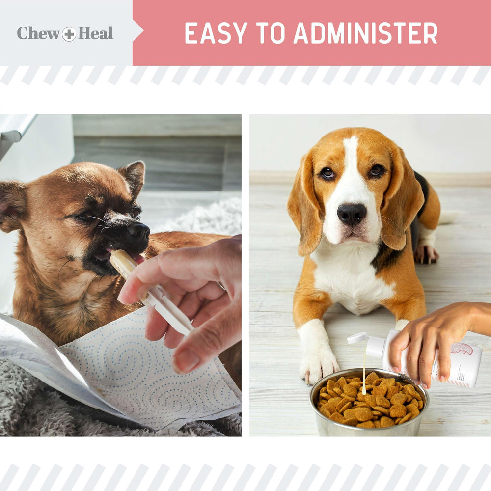 Chew + Heal Labs dog stomach comfort scene after use.