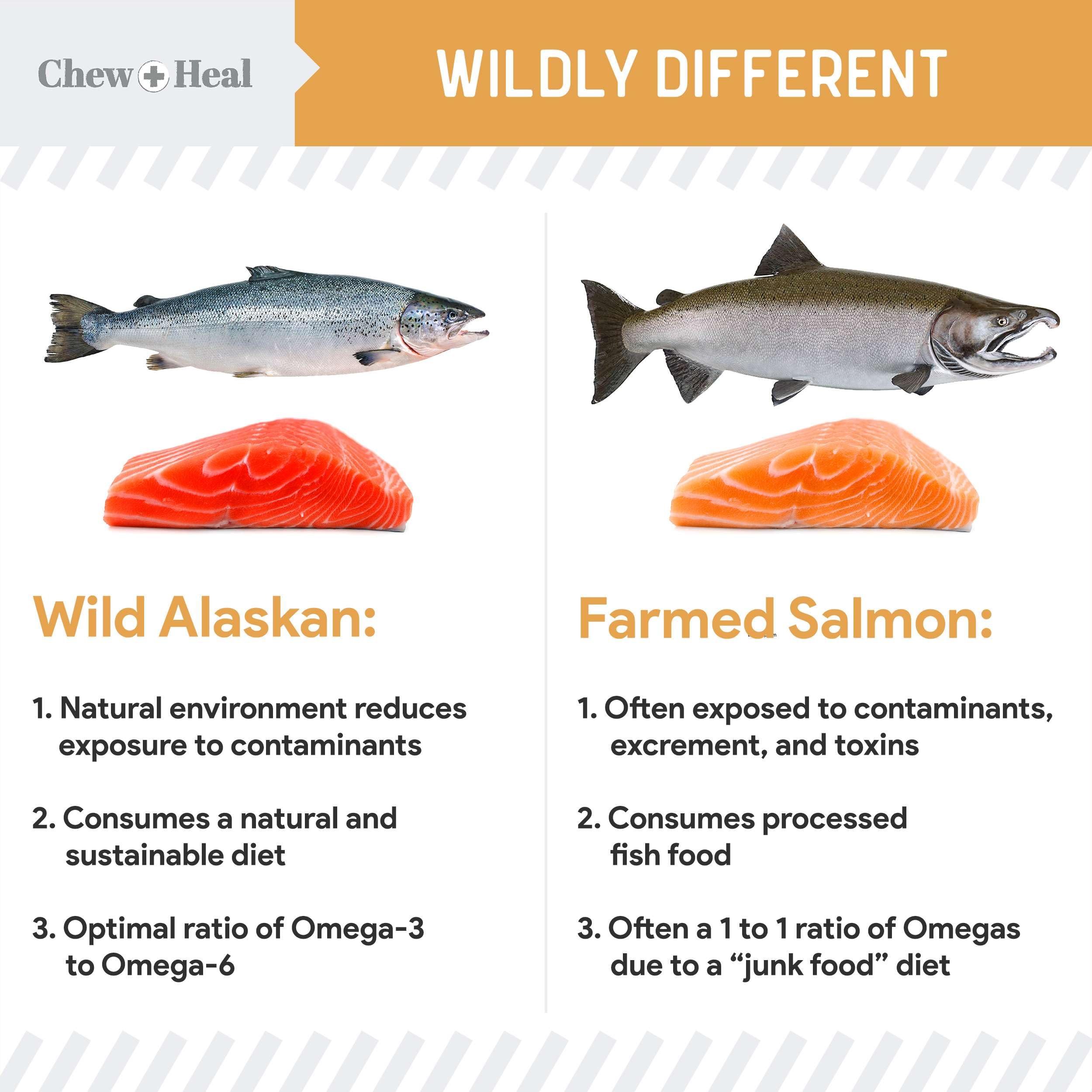 Chew + Heal Labs flaxseed oats ingredients image emphasizing natural snack options