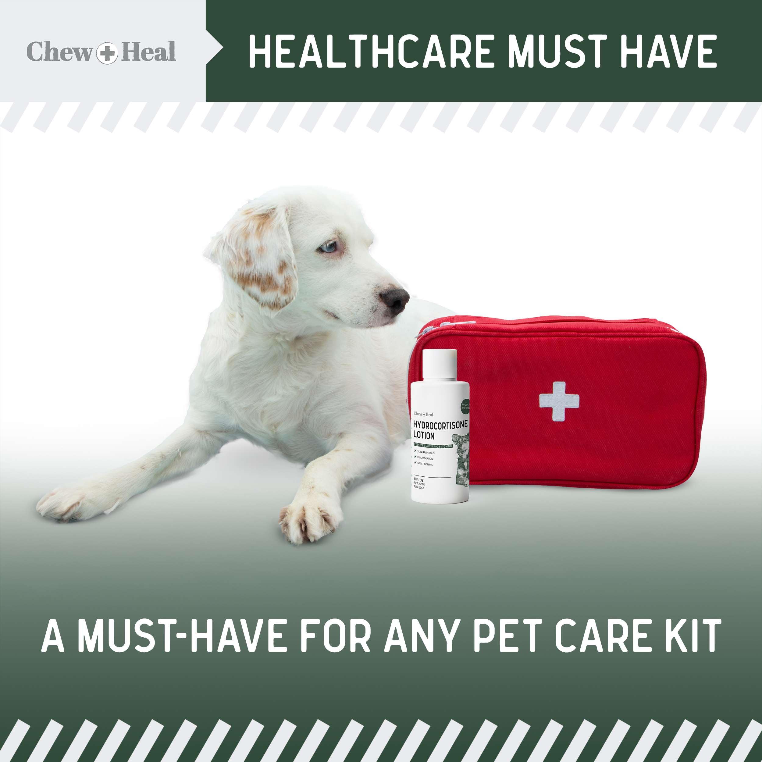 Chew + Heal Labs hydrocortisone lotion dog after-application relaxation.