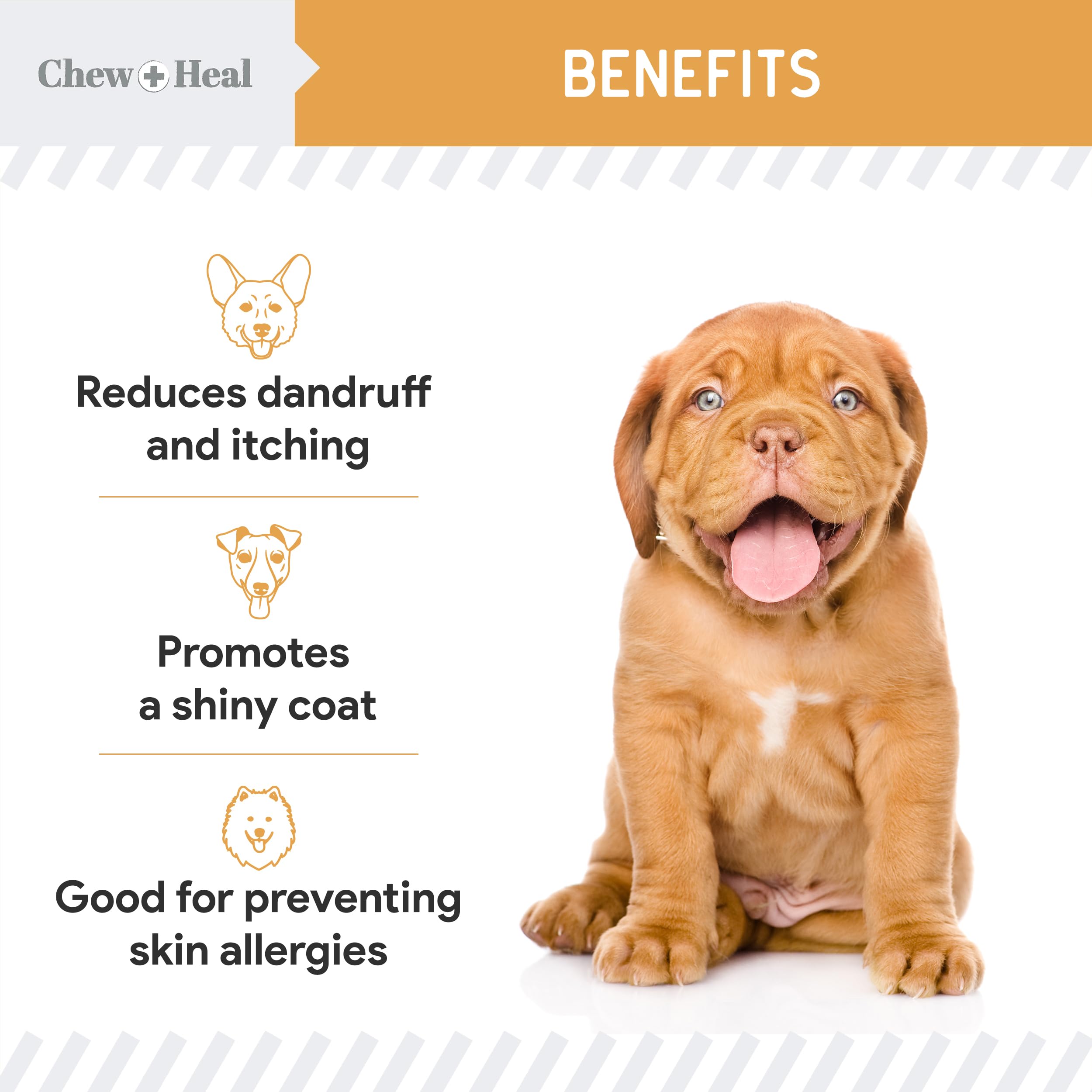 Chew + Heal Labs Omega dog coat shine image hints at healthier fur