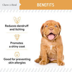 Chew + Heal Labs Omega dog coat shine image hints at healthier fur
