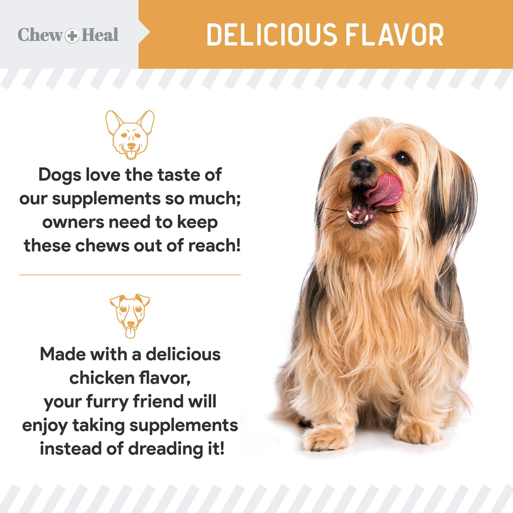 Chew + Heal Labs Omega dog two-pack display highlights value
