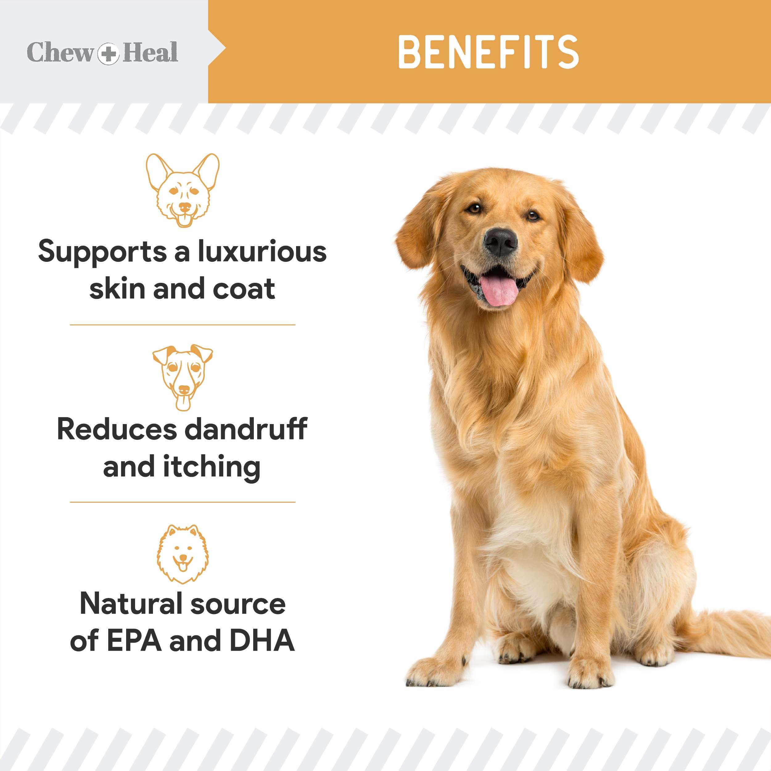 Chew + Heal Labs omega-rich closeup illustrating EPA and DHA in treats