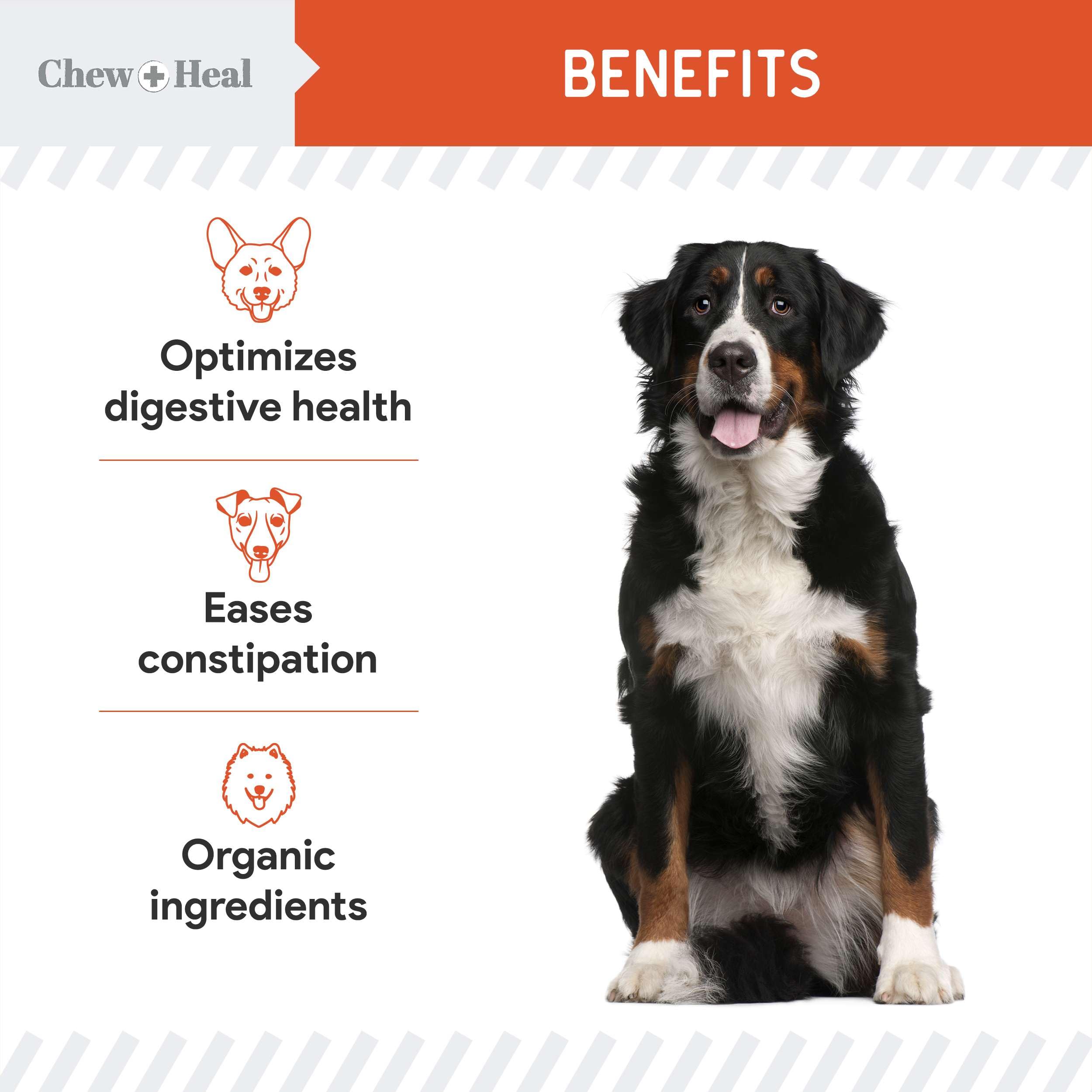 Chew + Heal Labs Organic Pumpkin Powder ingredients blend carrot and apple for natural flavor.