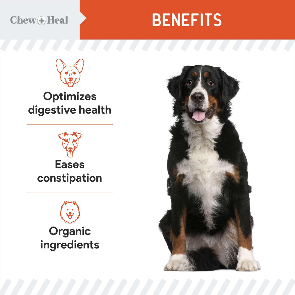 Chew + Heal Labs Organic Pumpkin Powder ingredients blend carrot and apple for natural flavor.