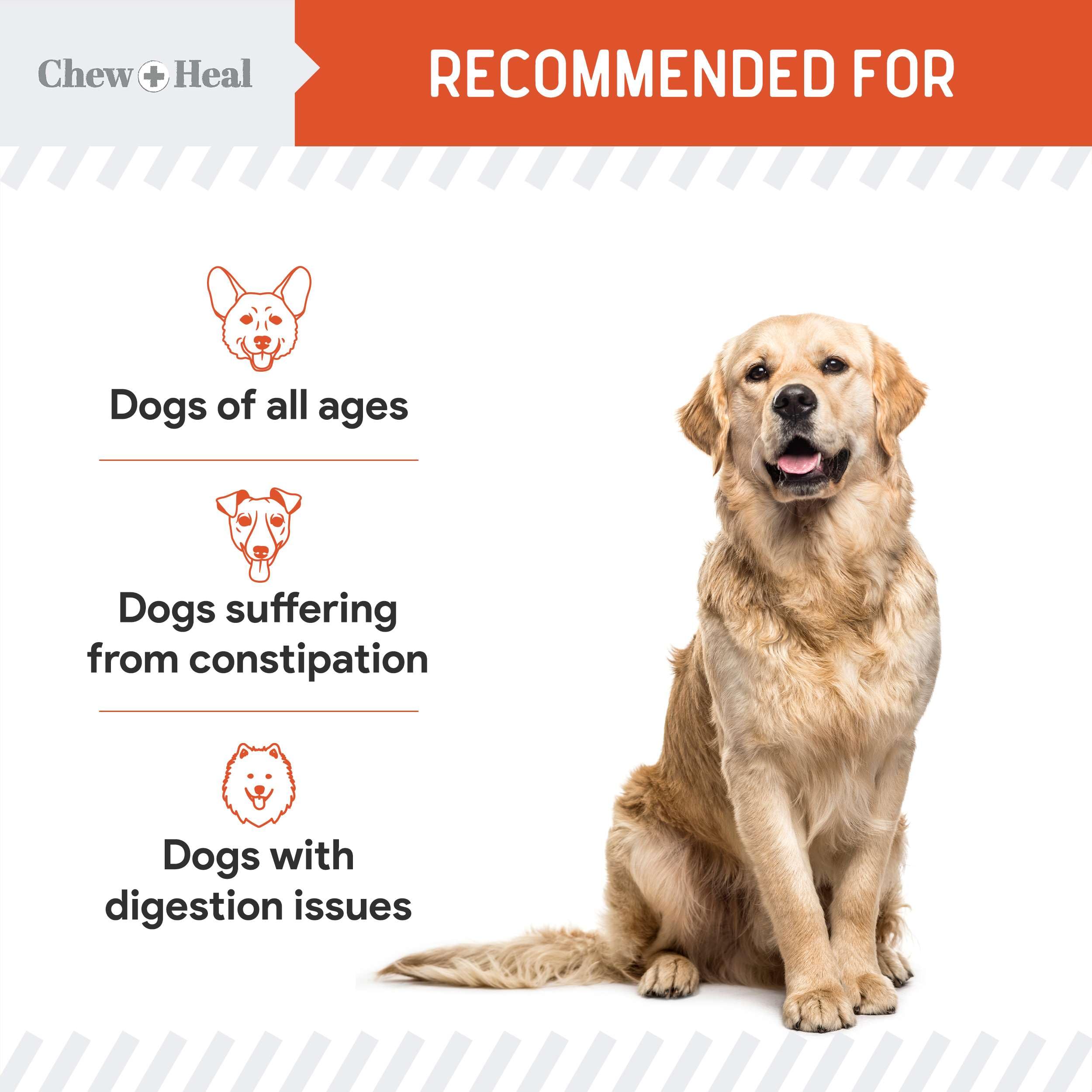 Chew + Heal Labs Organic Pumpkin Powder puree option provides a healthy substitute for pumpkin puree.