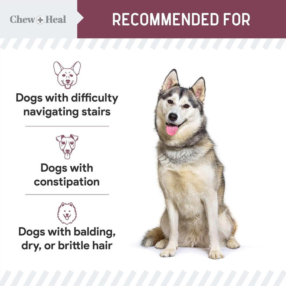 Chew + Heal Labs probiotic blend image suggests gut health and daily digestive comfort.
