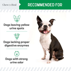 Chew + Heal Labs probiotics support digestive health for dogs.