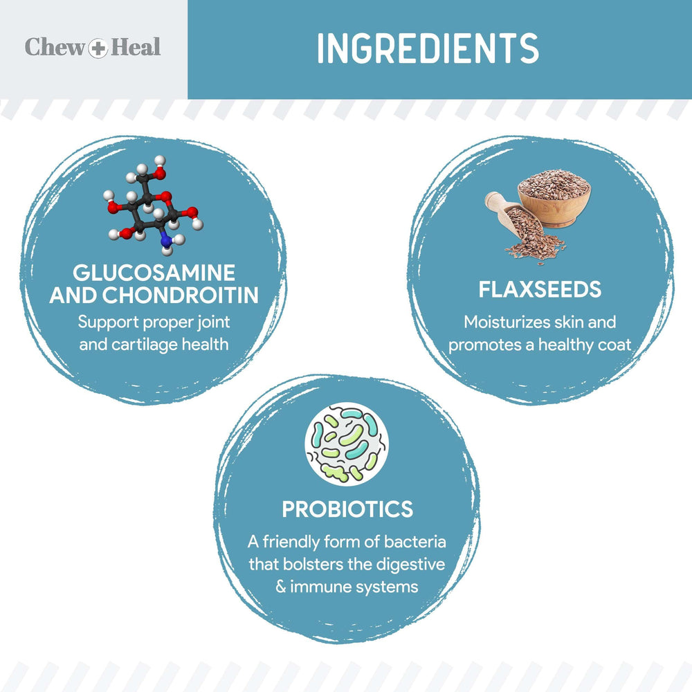 Chew + Heal Labs dosing scoop demonstrates easy powder measuring for dogs.