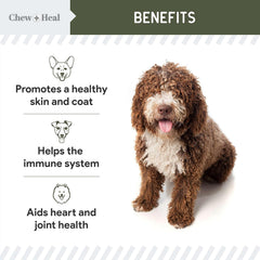 Chew + Heal Labs Pure Cod Liver Oil coat shine close-up on dog.