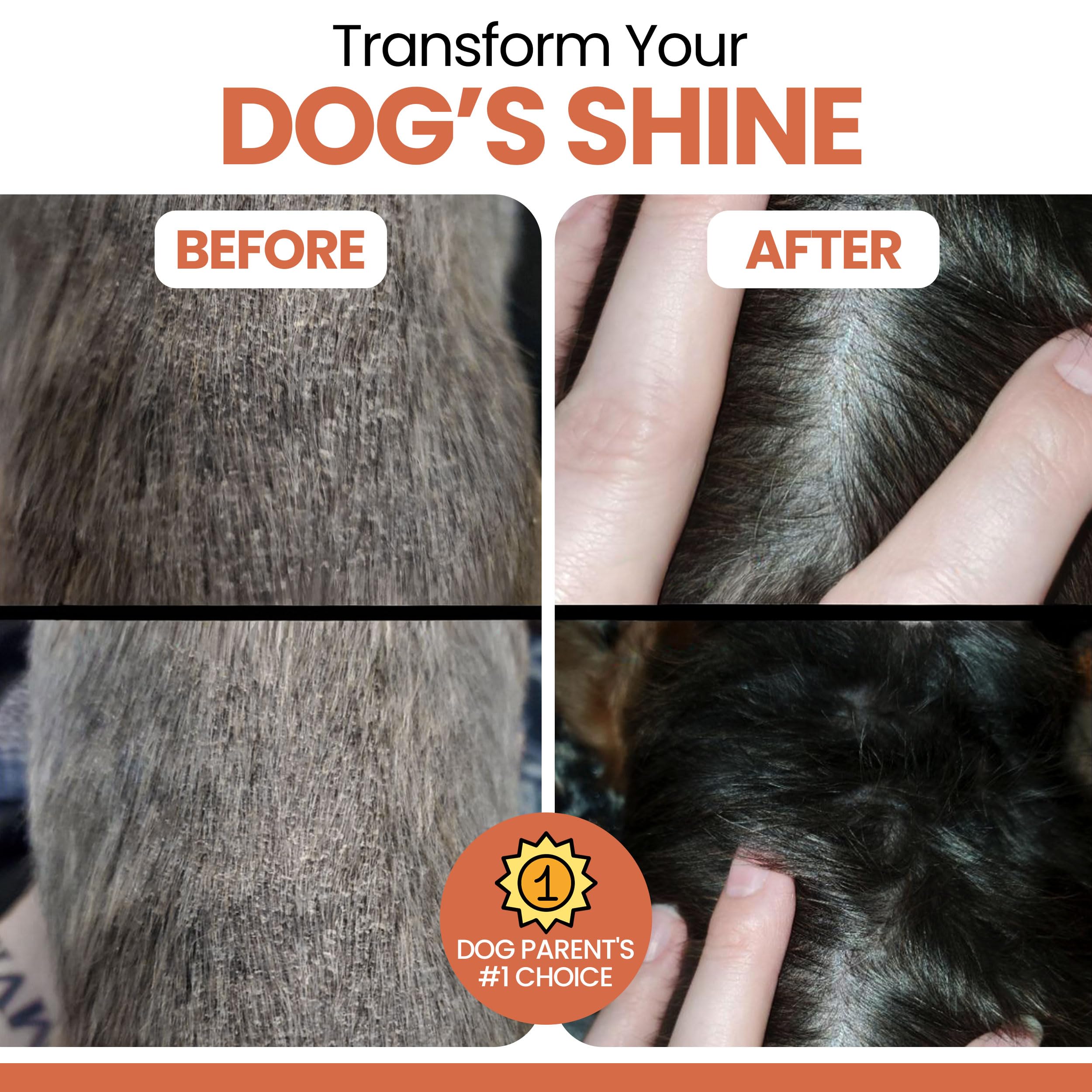 Chew + Heal Labs Salmon Oil supports digestive comfort with prebiotics and enzymes