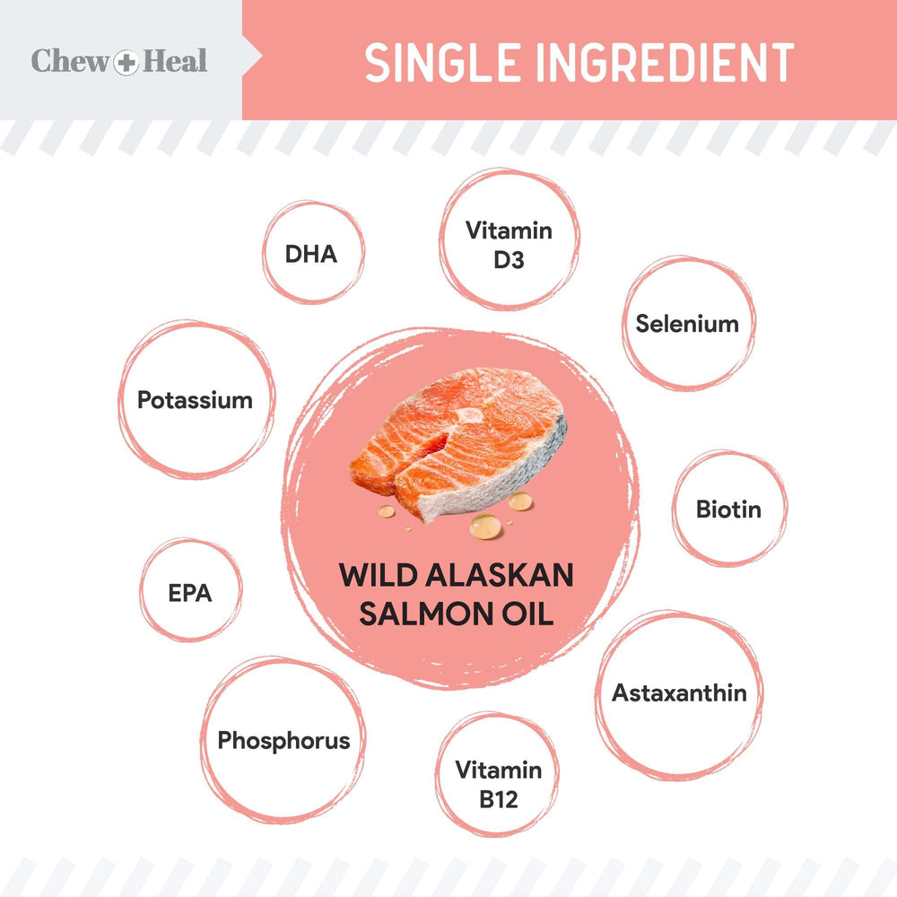 Chew + Heal Labs salmon oil pump for precise measurement and convenient daily dosing.