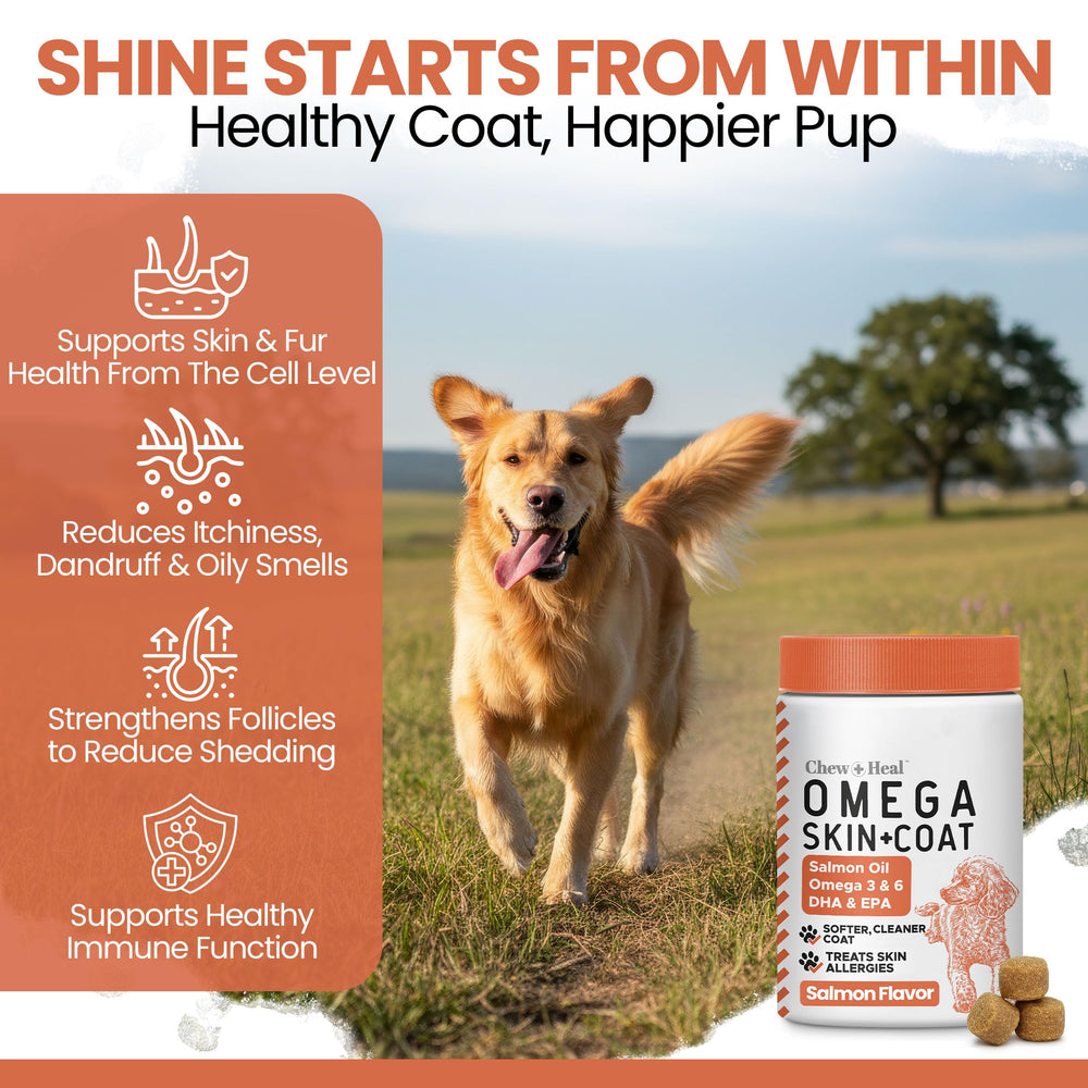 Chew + Heal Labs Salmon Oil skin and coat gloss enhances shiny fur and healthy look
