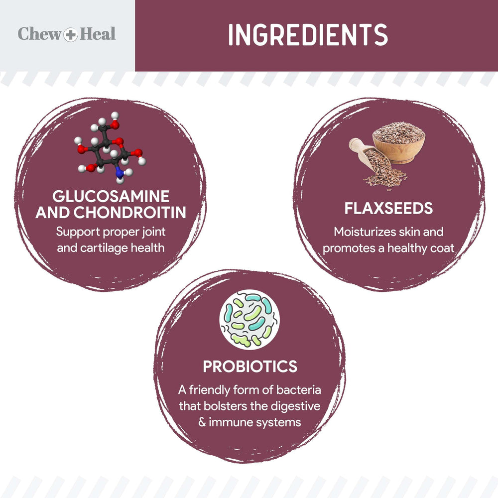 Chew + Heal Labs senior dog soft chews closeup shows palatable texture for easy dosing.