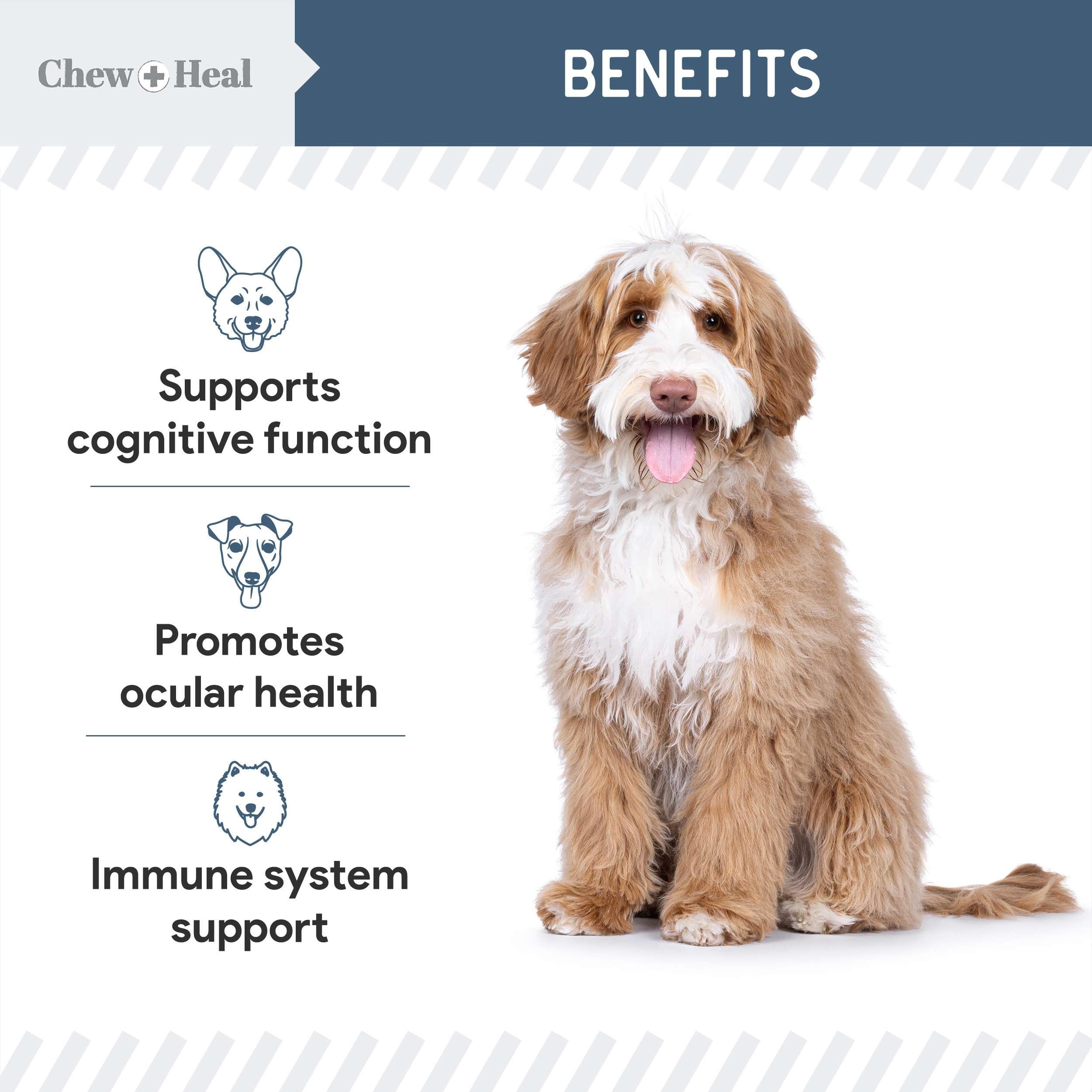 Chew + Heal Labs turkey tail mushroom and vitamin C support antioxidant defense.