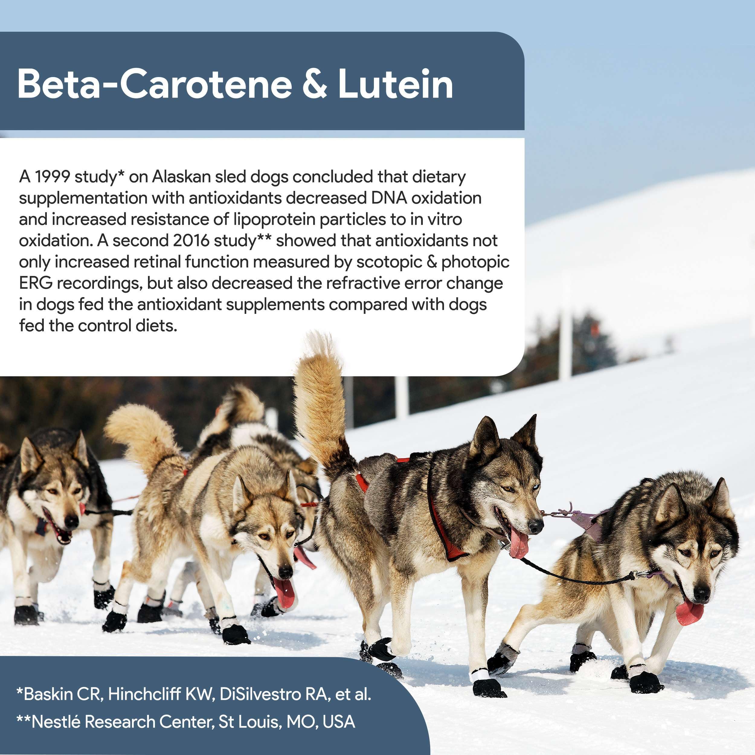 Chew + Heal Labs lutein and astaxanthin guard against oxidative stress in eyes.