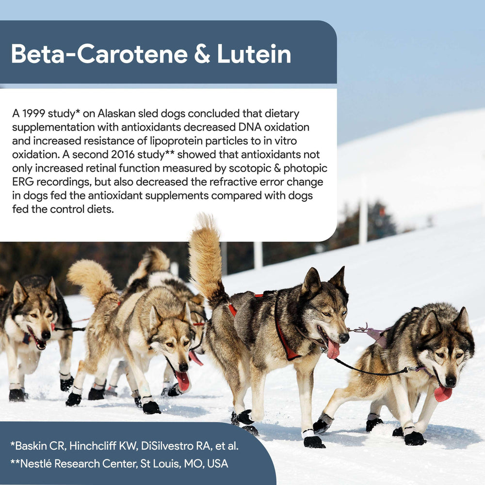 Chew + Heal Labs lutein and astaxanthin guard against oxidative stress in eyes.