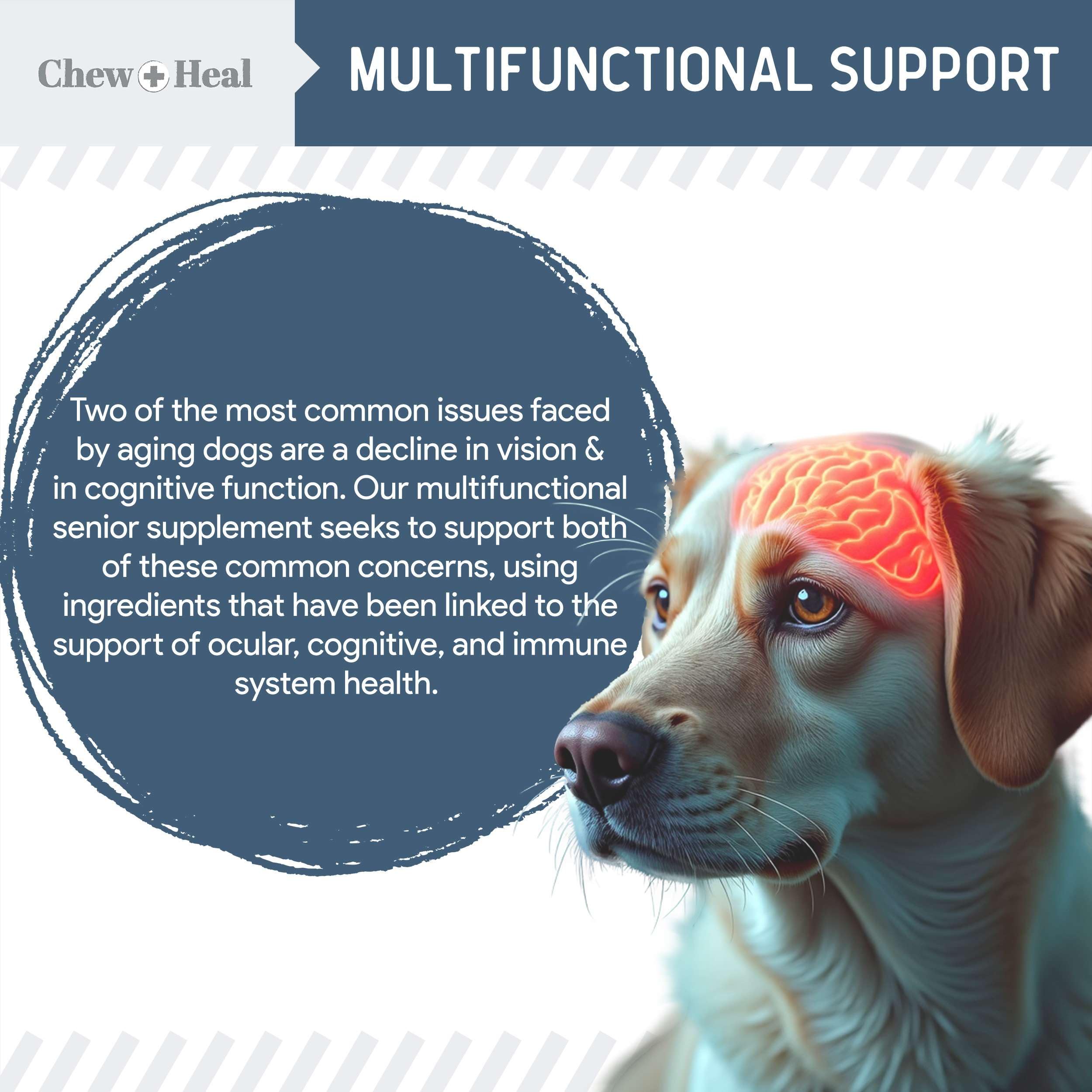 Chew + Heal Labs easy-chew soft chews reduce admin stress for seniors.