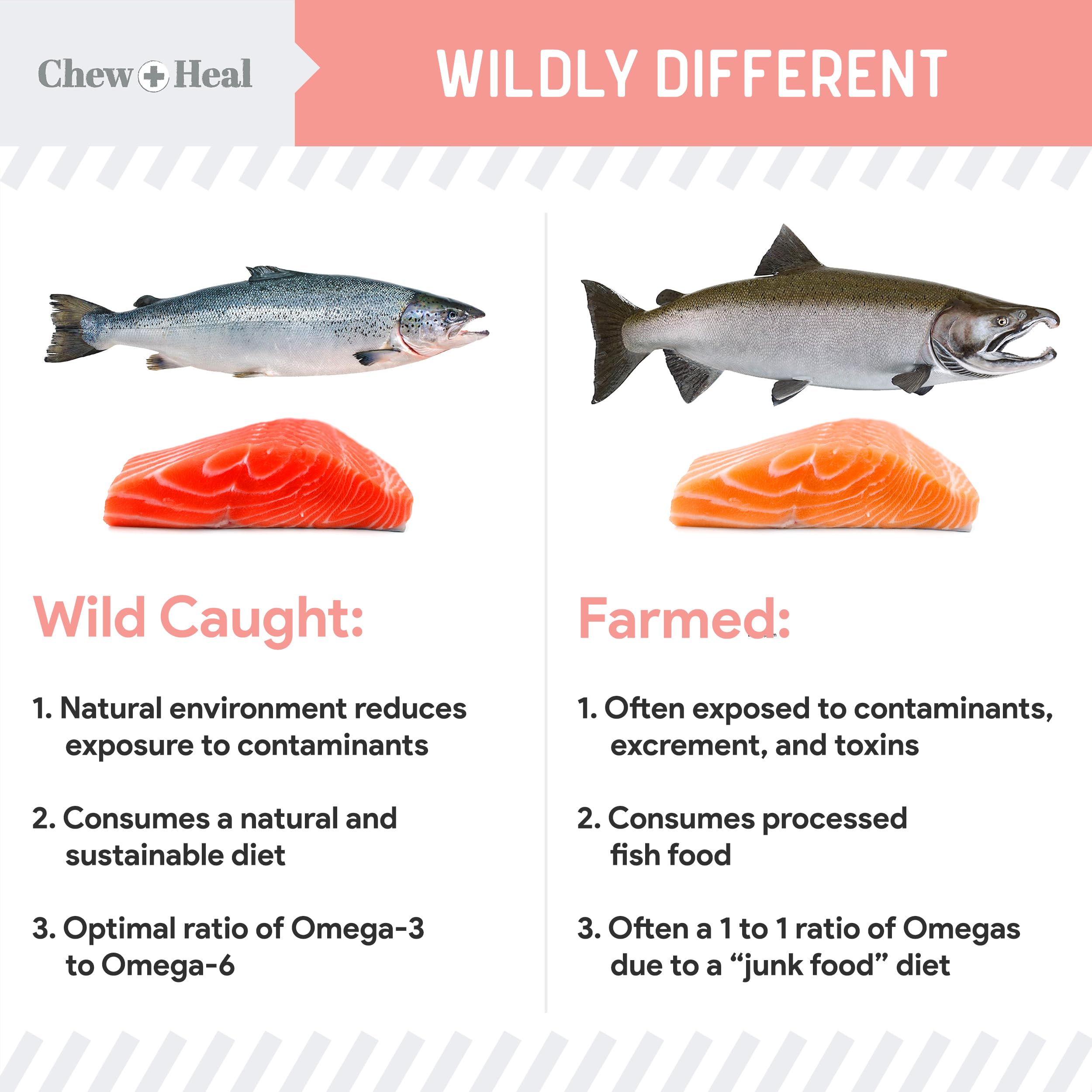 Chew + Heal Labs skin-coat closeup highlights nourishing benefits of the salmon oil.