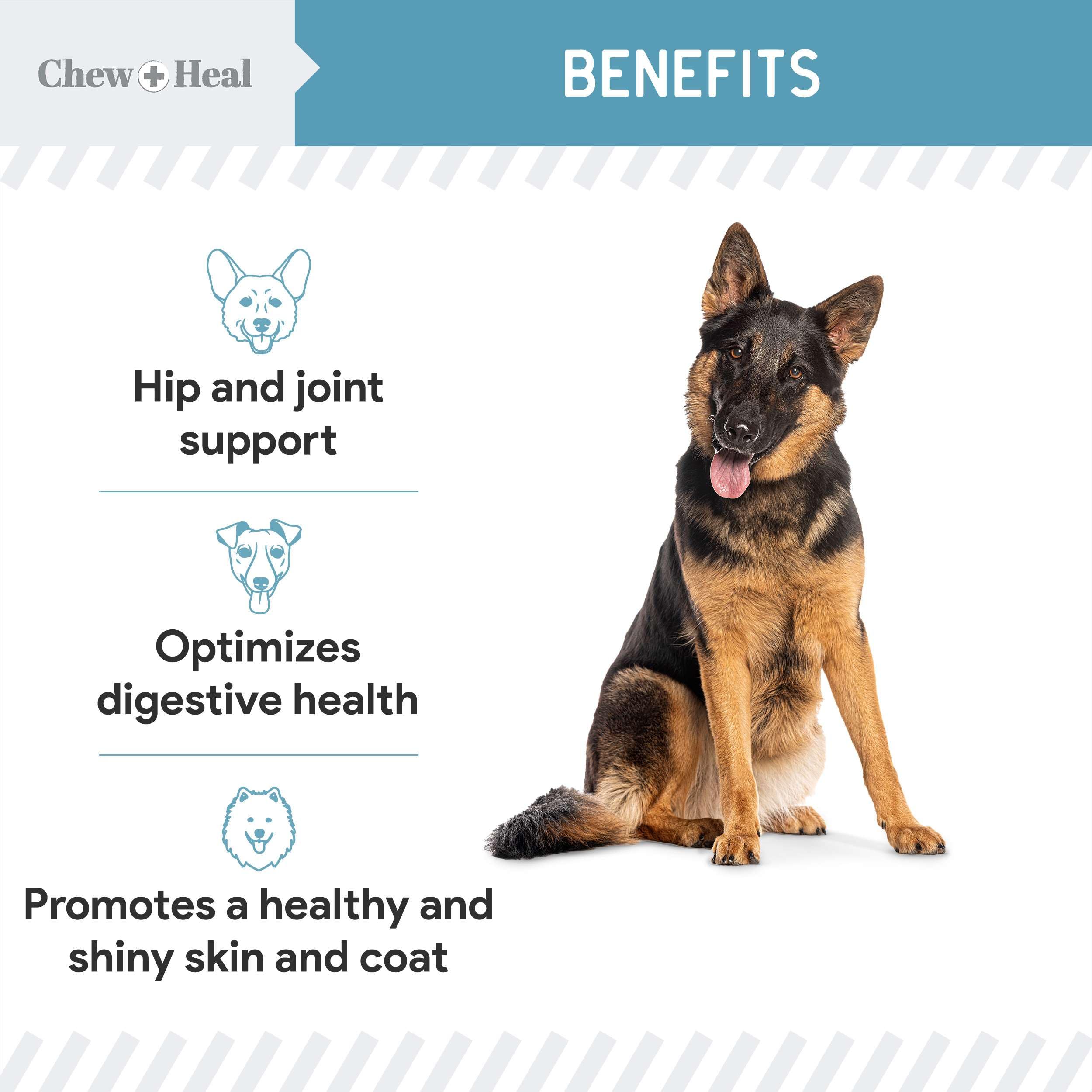 Chew + Heal Labs coat-nourishing formula boosts shine and skin health.