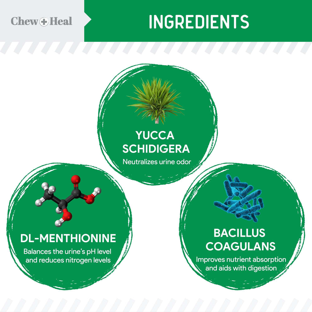 Chew + Heal Labs soft chews chicken flavor for easy daily support.