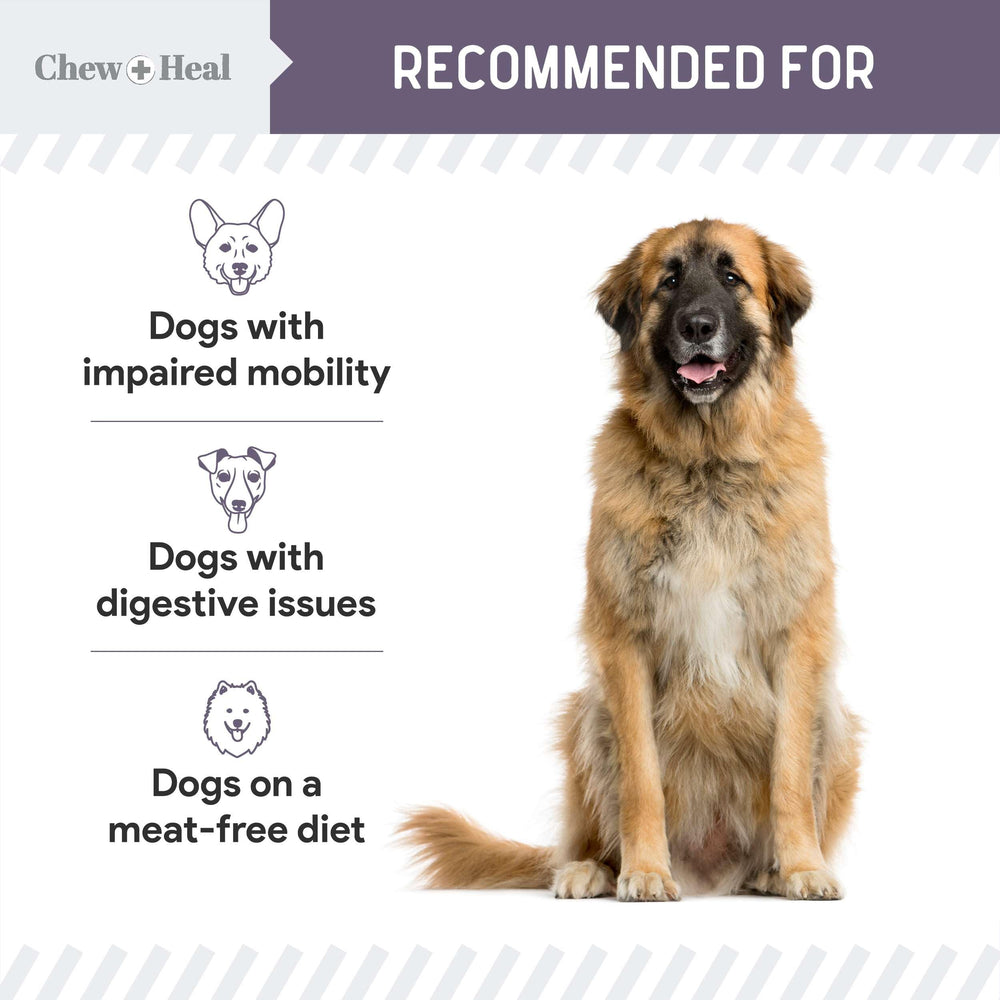 Chew + Heal Labs soft-jerky texture close-up showing tender bite ideal for older dogs.
