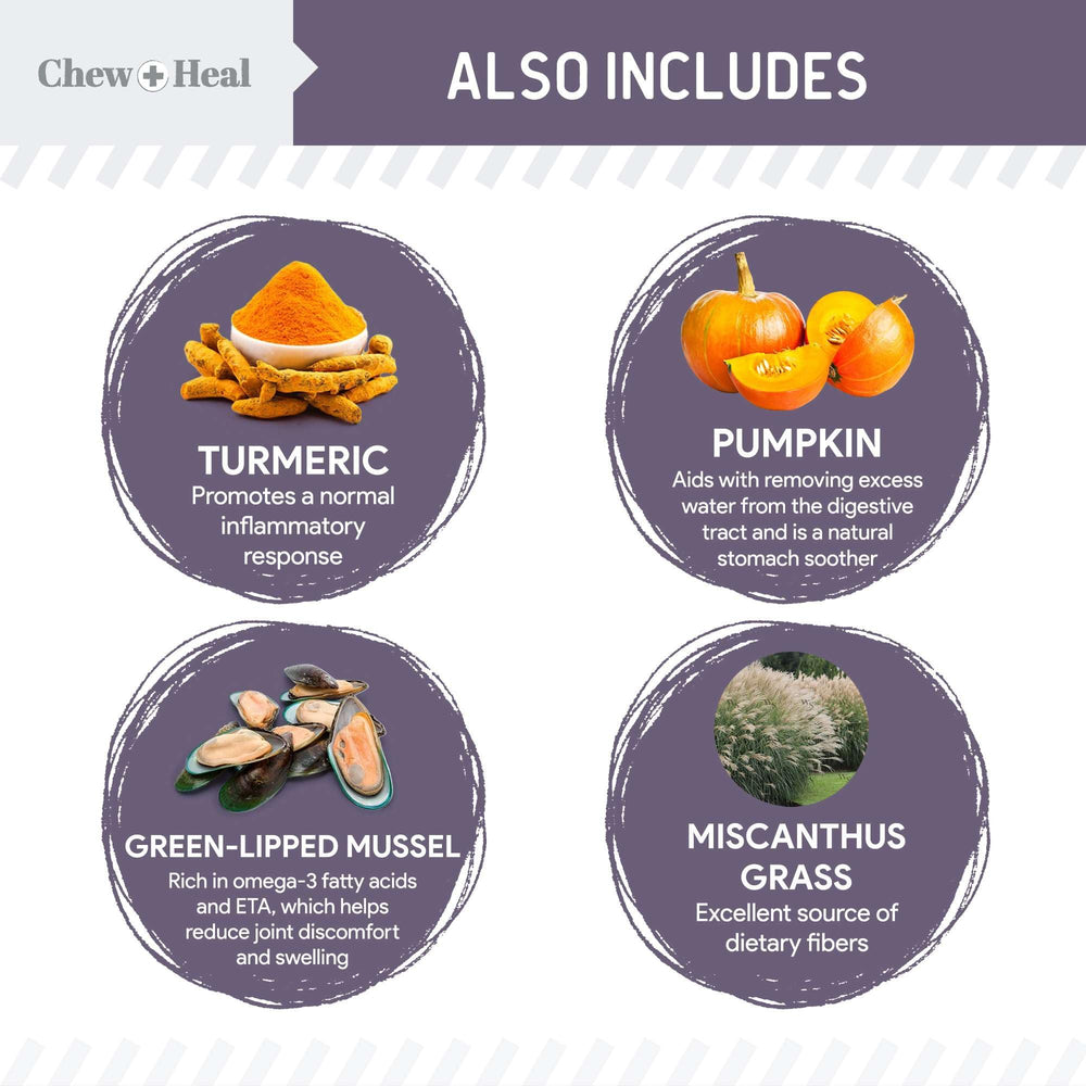 Chew + Heal Labs turmeric salmon jerky display highlights flavorful natural snack for aging dogs.