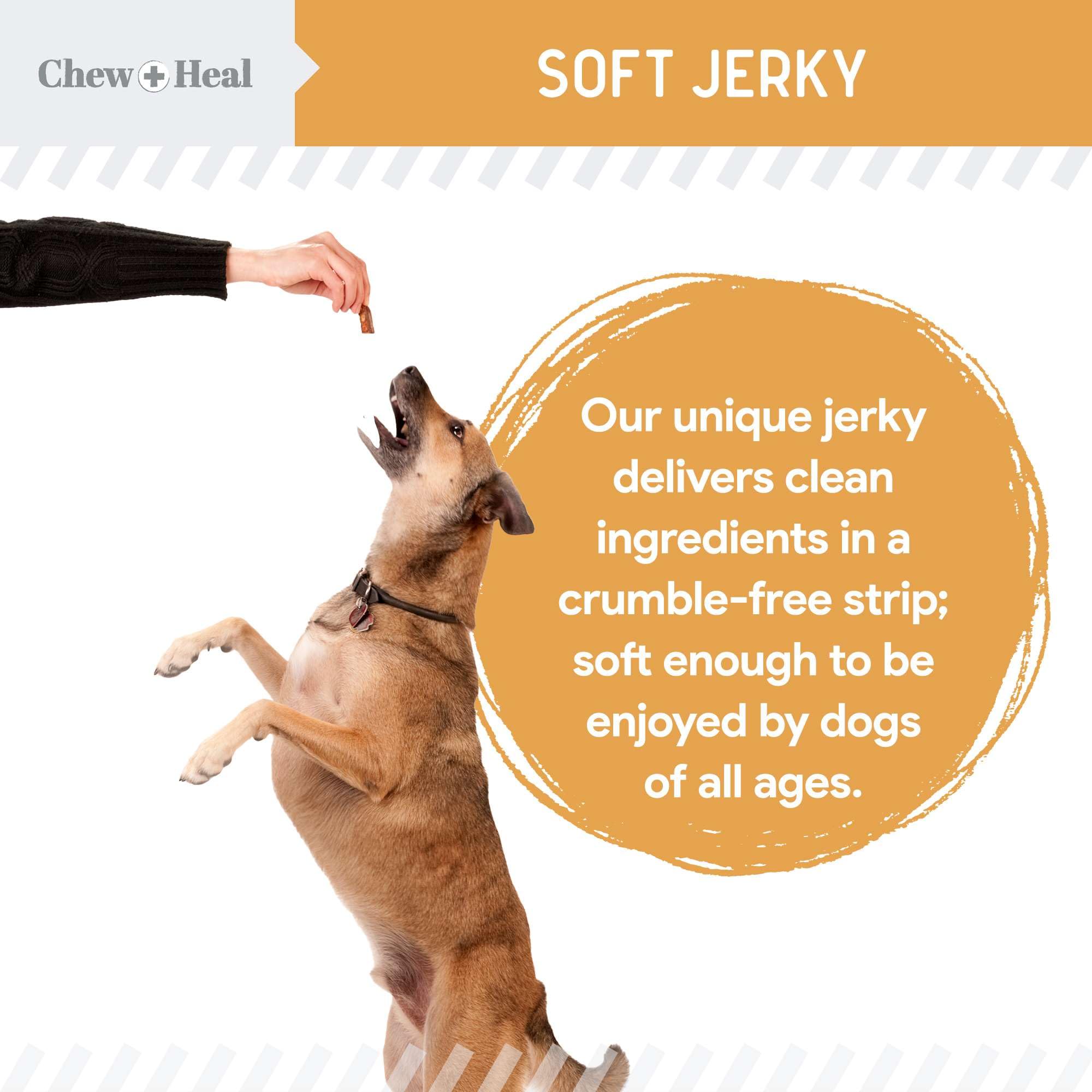 Chew + Heal Labs two-pack packaging view for convenient stocking