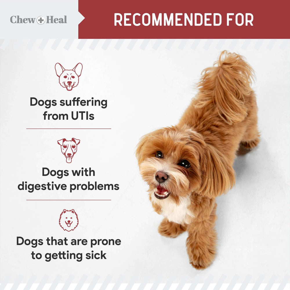 Chew + Heal Labs vitamin C dog supplement emphasizing antioxidant support.