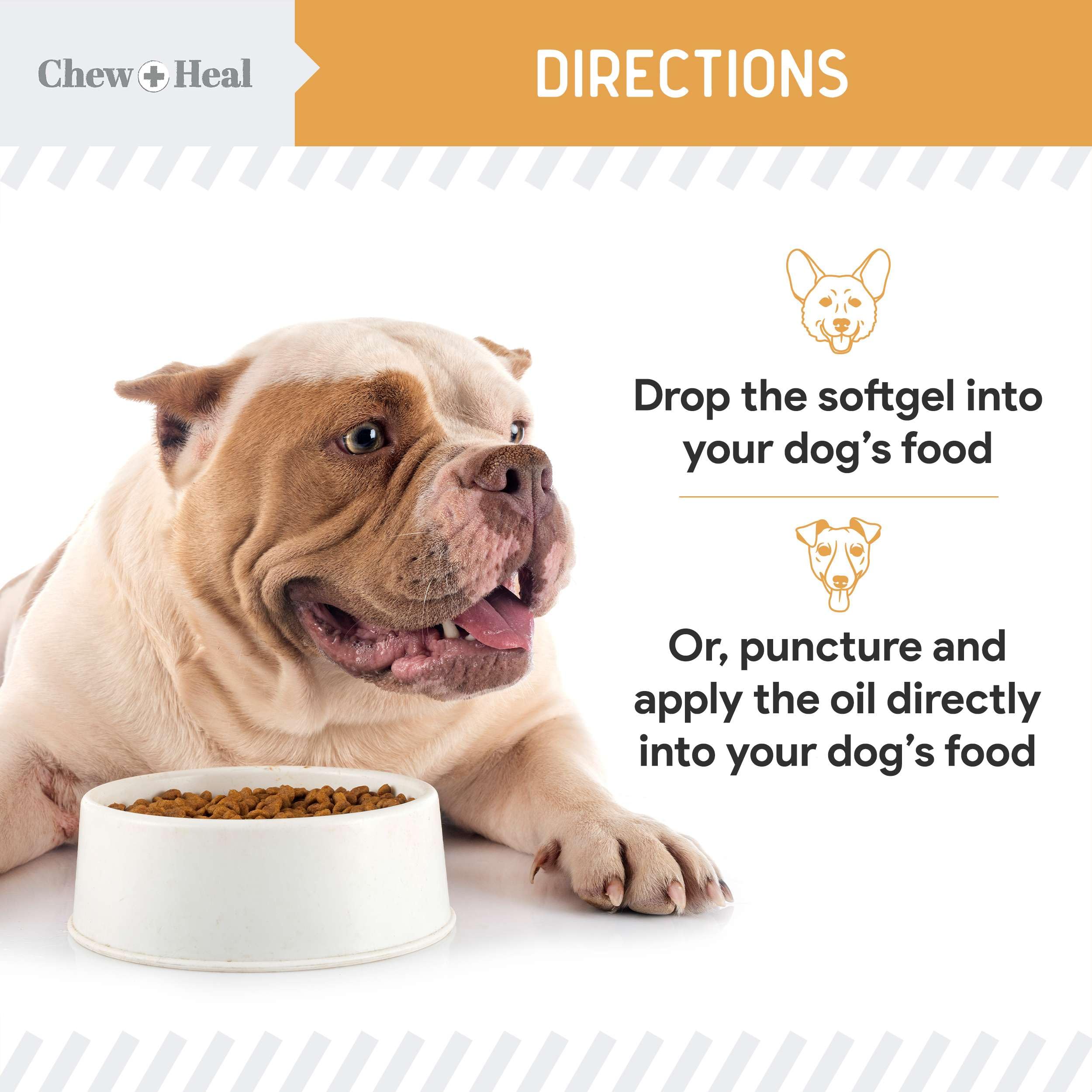 Chew + Heal omega-3 softgels for dogs shown beside a glossy coat to aid shedding support.