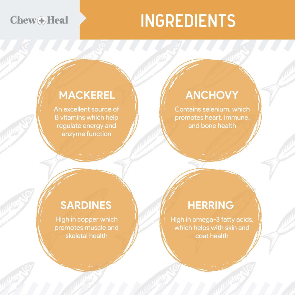 Close-up of Chew + Heal Labs omega-3 dog softgels ready to swallow.