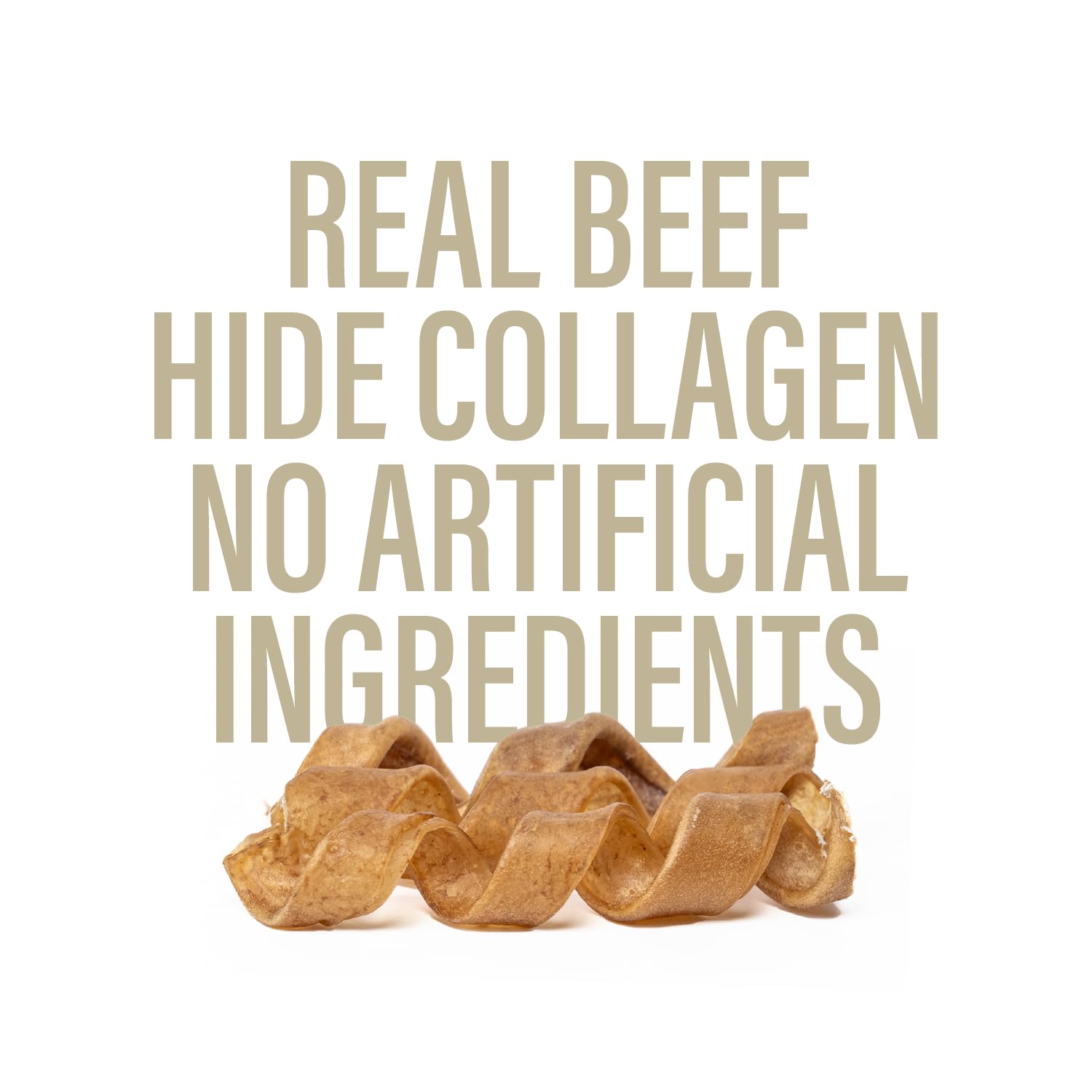 Chewer's Joy Collagen Spring Stick dog sniffing reveals natural aroma and enticing texture.
