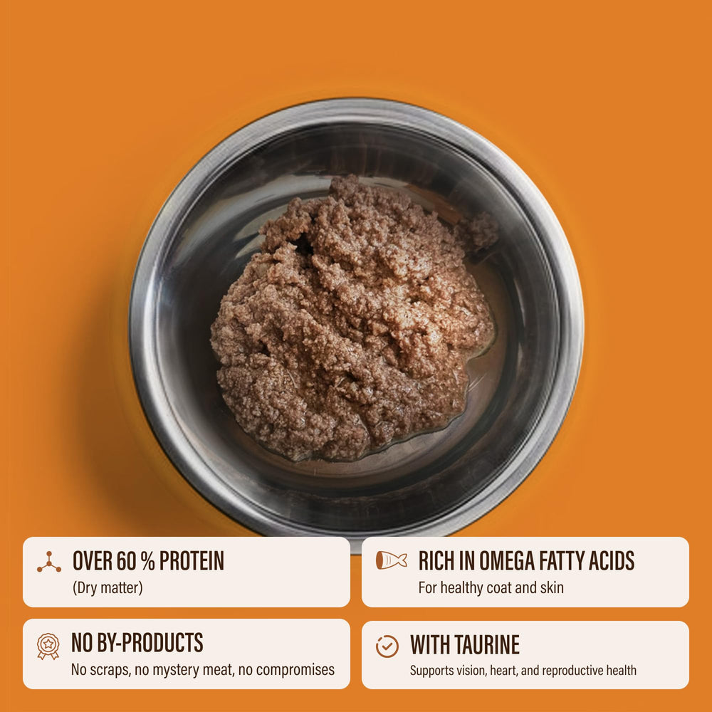 Chewer's Joy chicken-turkey can—grain-free, complete meals for daily feeding