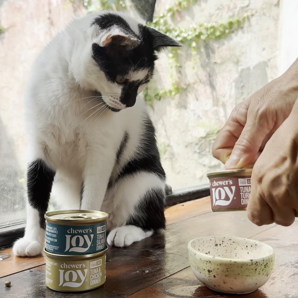 Chewer's Joy 3 oz serving—portion-controlled meals for cats