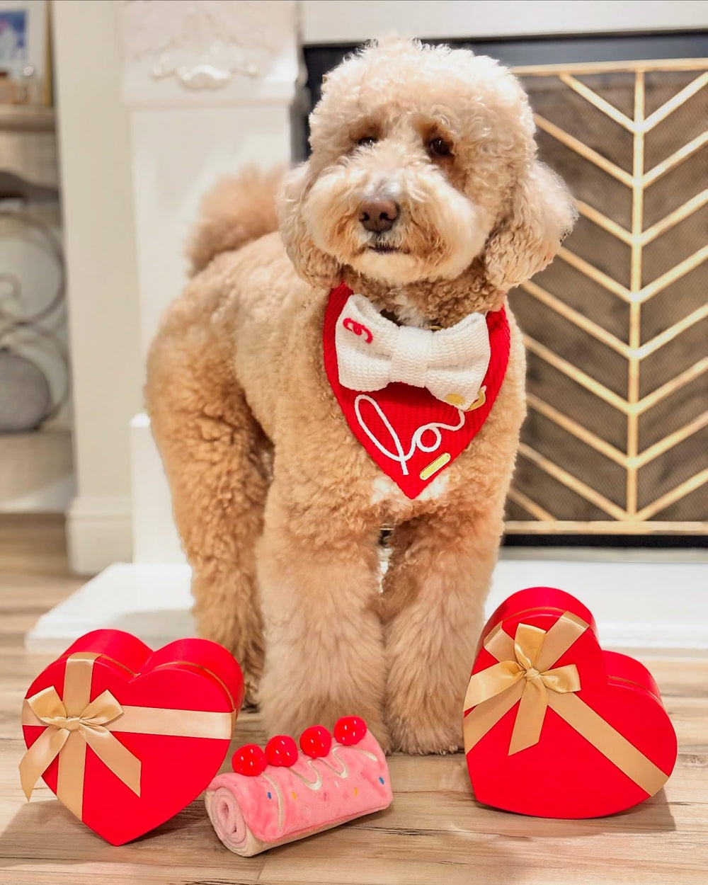 CHEWFFON dog toy neoprene material highlights bite-resistant, durable construction.