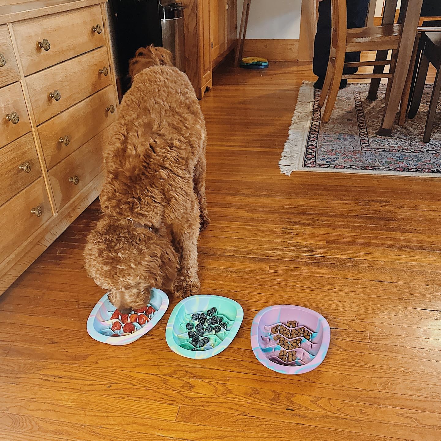 CHEWFFON suction-cup-base secures bowl on smooth surfaces during feeding.